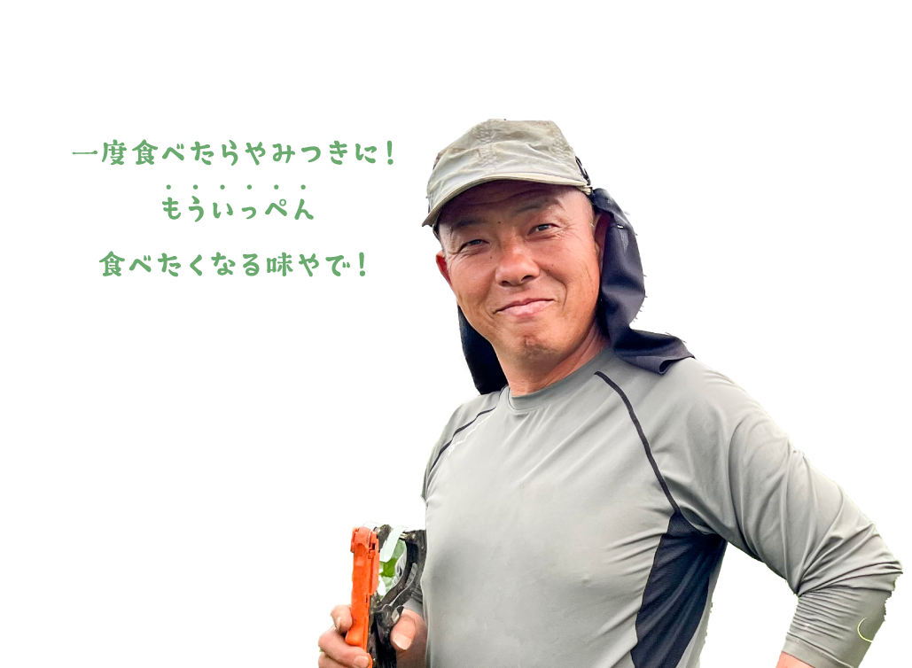 コメント