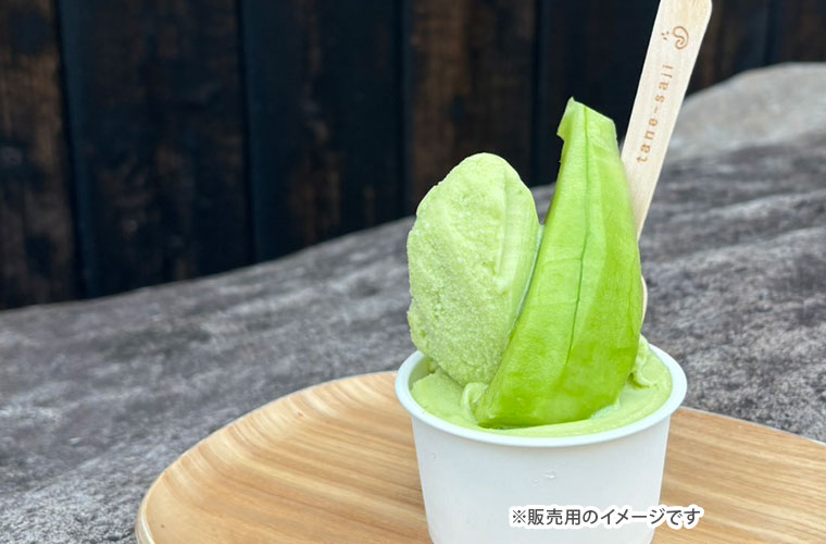 網干メロンやジェラートの無料試食♪