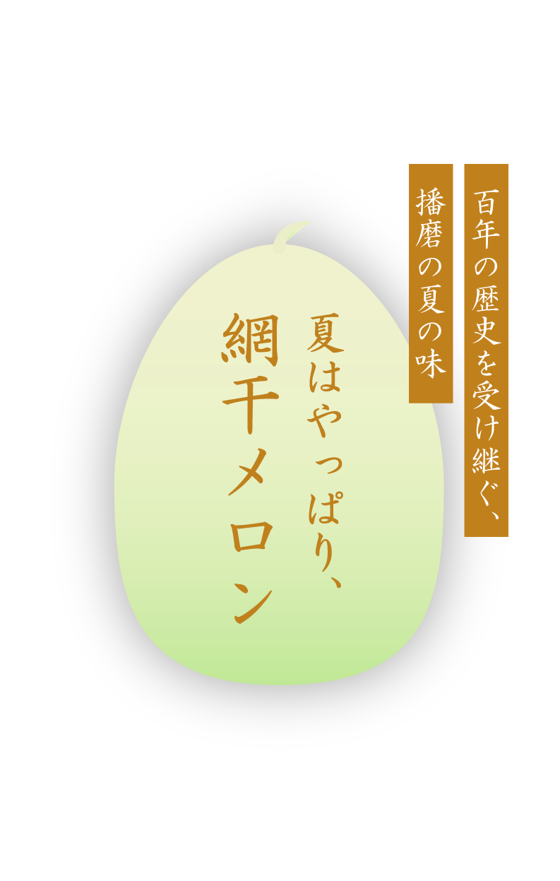 網干メロン