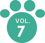 vol_6