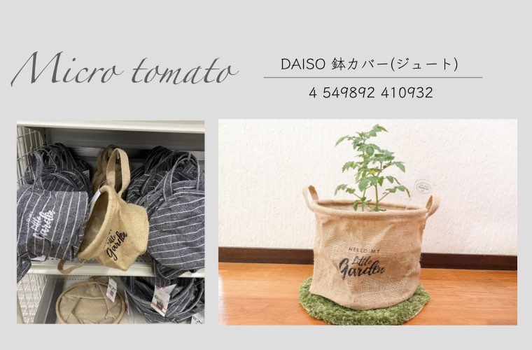 家庭菜園に使える簡単100均グッズ ダイソーやセリアのおしゃれな鉢やプランターポットを紹介 Tanosumu たのすむ