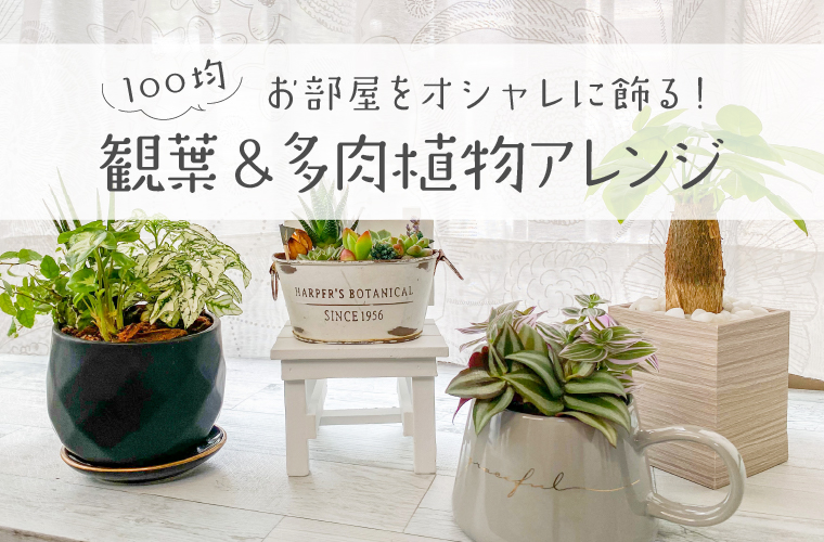 家庭菜園に使える簡単100均グッズ ダイソーやセリアのおしゃれな鉢やプランターポットを紹介 Tanosumu たのすむ