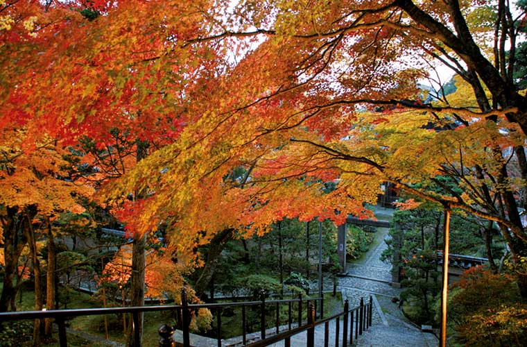 兵庫県の紅葉おすすめスポット19選 見頃やライトアップ情報も 姫路 加古川周辺 Tanosu タノス 兵庫県はりまエリアの地域情報サイト Part 2