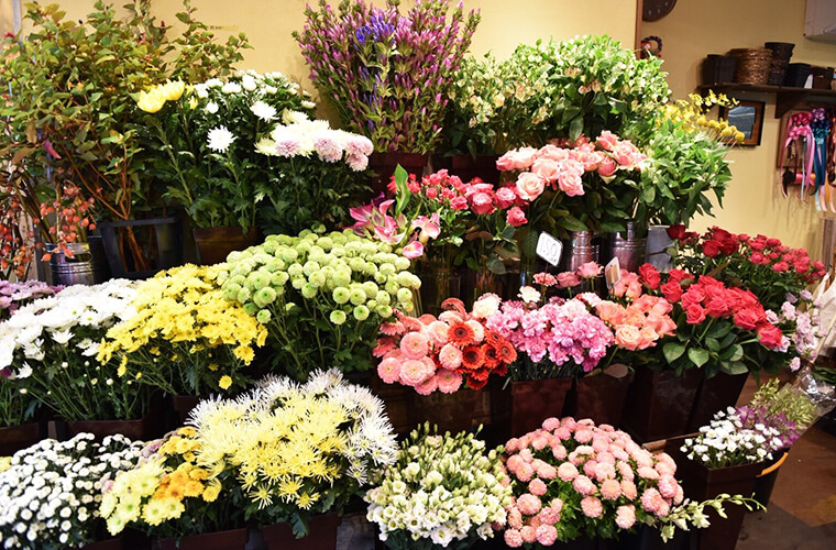 姫路 加古川周辺のおしゃれな花屋さん7選 プレゼントに喜ばれること間違いなし Tanosu タノス 兵庫県はりまエリアの地域情報サイト