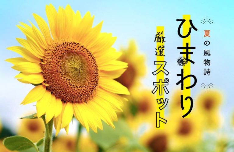 年に一度の絶景スポット！兵庫県のひまわり畑11選！気になる見頃も紹介♪(2022)