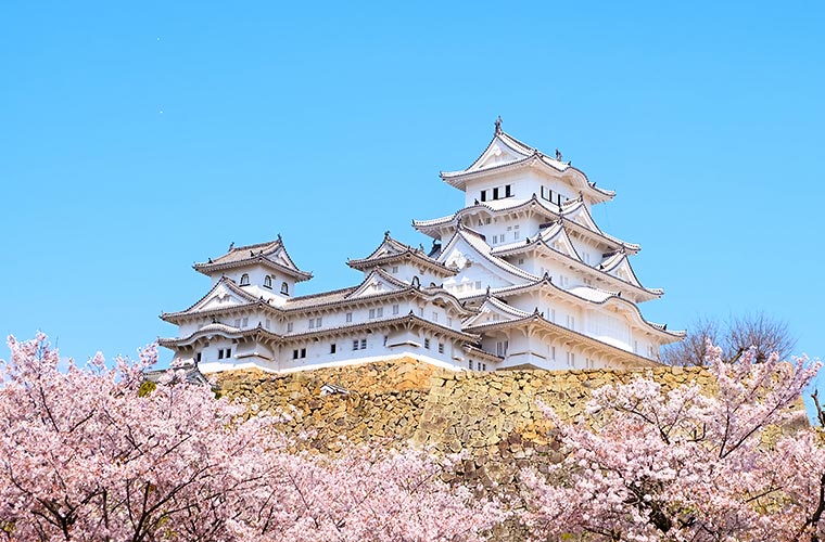 姫路で花見をするなら姫路城で！桜の開花予想やライトアップイベントなど最新情報を紹介♪(2023)
