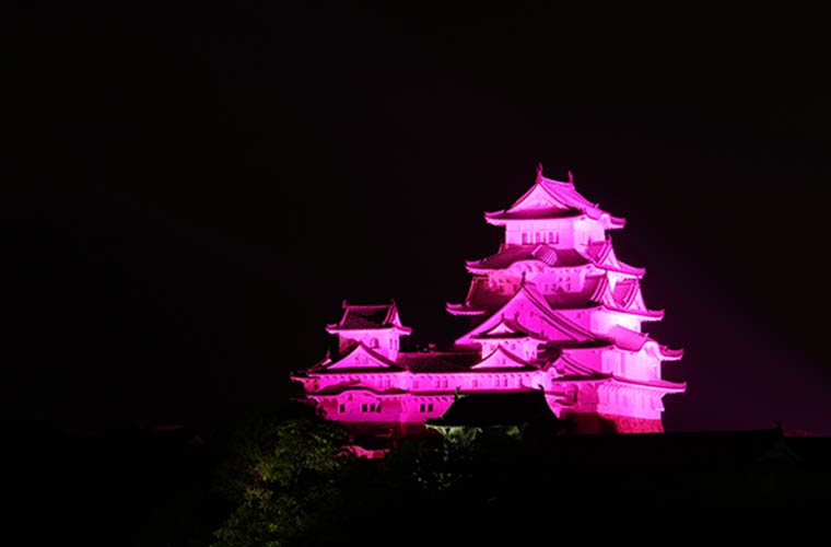 年間通してライトアップされる姫路城 年に数回の特別バージョンも紹介 Tanosu タノス 兵庫県はりまエリアの地域情報サイト