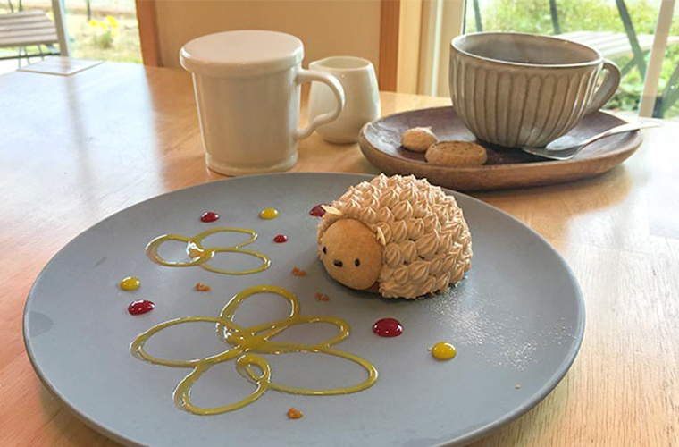 加古川 ハリネズミのケーキがかわいい パティスリー カフェ Piquer ピケ 人気のランチも Tanosu タノス 兵庫県はりまエリアの地域情報サイト