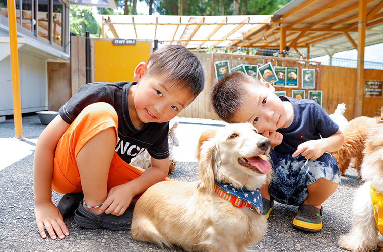 神河町 神崎農村公園ヨーデルの森 で動物と触れ合おう 夏休みの水遊びイベントも Tanosu タノス 兵庫県はりまエリアの地域情報サイト