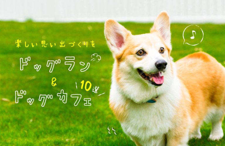 【兵庫県】ドッグラン＆カフェ10選！愛犬とのおでかけが楽しくなるおすすめスポットを紹介♪