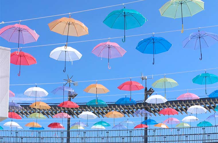 夏の空に虹がかかる 淡路島国営明石海峡公園で れいんぼーあんぶれら 開催中 Tanosu タノス 兵庫県はりまエリアの地域情報サイト