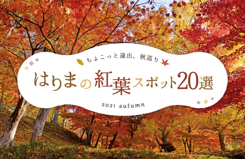 兵庫県の紅葉おすすめスポット選 見ごろやライトアップ情報も 21 姫路 丹波周辺 Tanosu タノス 兵庫県はりまエリアの地域情報サイト