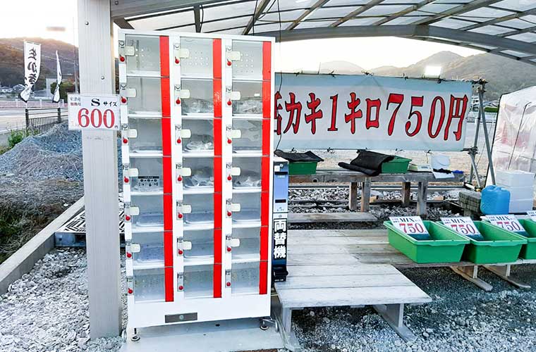 たつの 珍しい 活カキ自動販売機 に注目 とれたての新鮮な牡蠣が24時間購入可能 兵庫県はりまエリア 姫路 加古川など の地域情報サイト Tanosu タノス