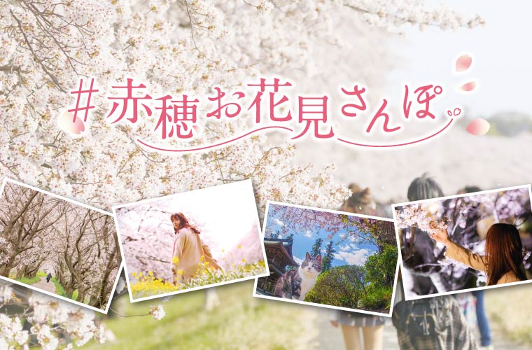 赤穂の桜を楽しもう「＃赤穂お花見さんぽ キャンペーン」実施♪Amazonギフト券が当たる！