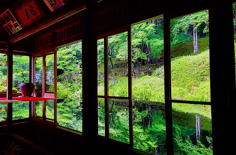 【福崎町】沙羅の寺「應聖寺」♪1日しか咲かない花の魅力とは？書院から眺める庭園も絶景！