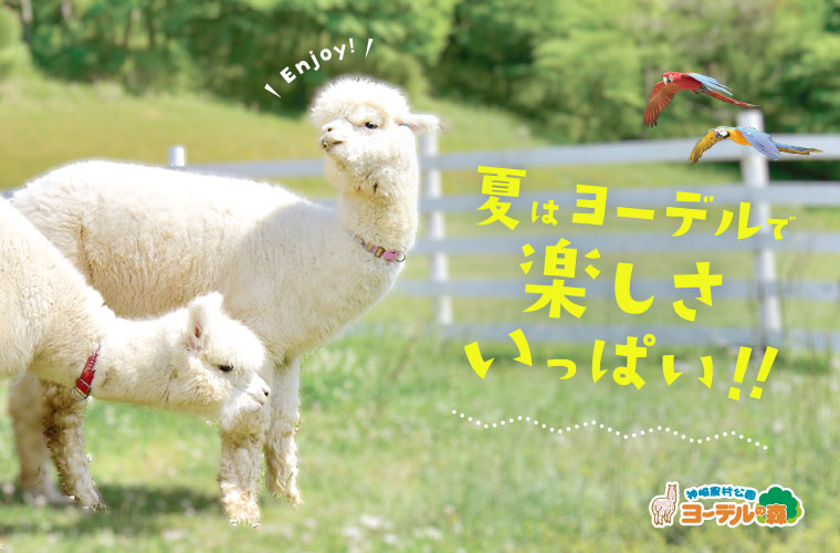 【神河町】「神崎農村公園ヨーデルの森」で動物と触れ合おう！夏休みの水遊びイベントも♪
