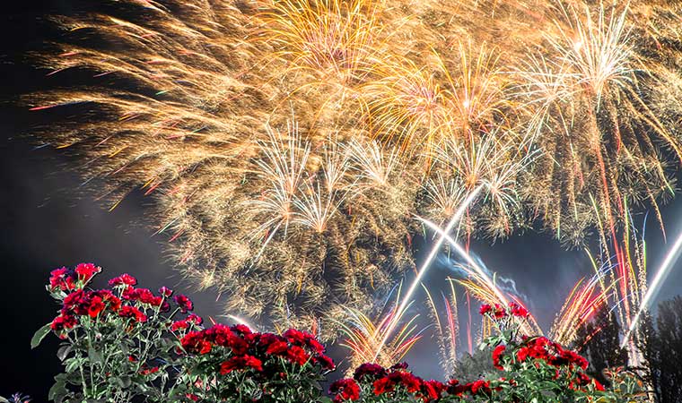 岡山県 ドイツの森 で花火大会や夏休みの子どもが喜ぶ 泡パーティー 雪まつり が開催 兵庫県はりまエリア 姫路 加古川など の地域情報サイト Tanosu タノス