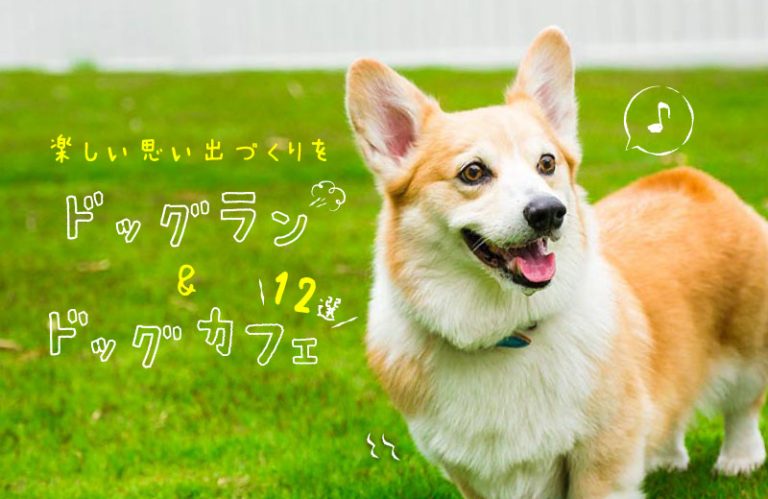 【兵庫県】ドッグラン＆カフェ12選！愛犬とのおでかけが楽しくなるおすすめスポットを紹介♪