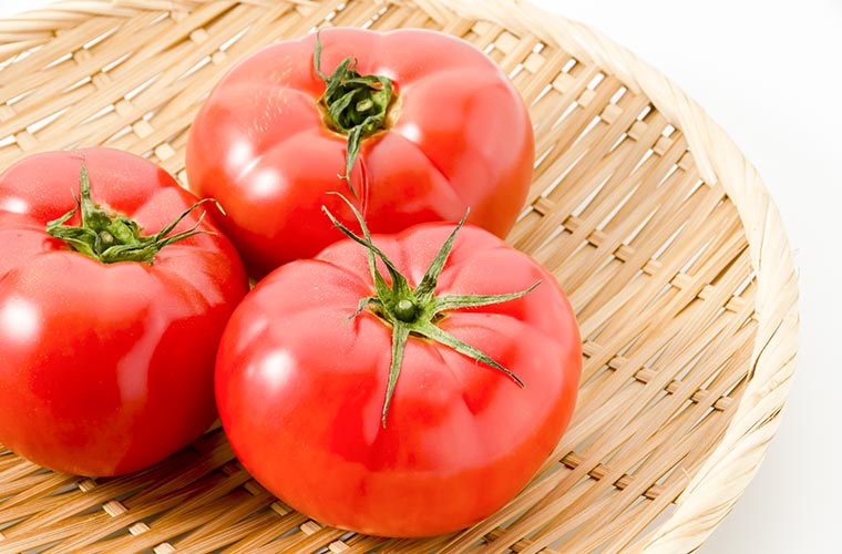 【稲美町】「にじいろふぁ～みん」で「トマト祭り」開催！試食販売やトマト狩り体験ツアーも