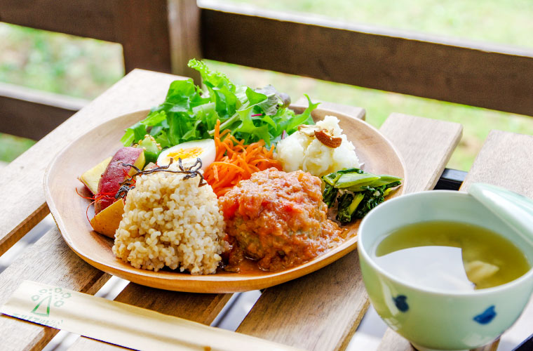 【姫路】ログハウスカフェ「モリノアソビバ」オープン！自然の中で食べる体に優しいランチに注目