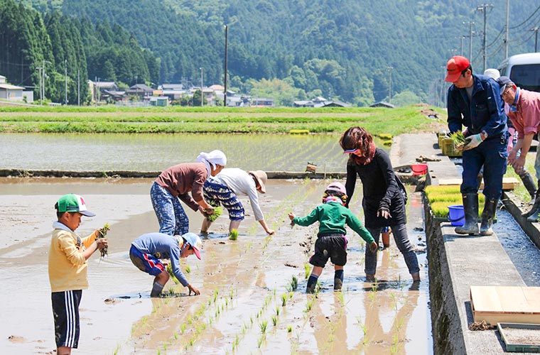 名水の町・神河町で「田植え体験」開催！親子で自然の恵みを感じて食への感謝の気持ちを育んで