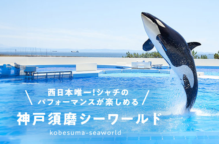 【神戸須磨シーワールド】西日本唯一！シャチのパフォーマンスが楽しめる♪レストランやホテルの情報も！