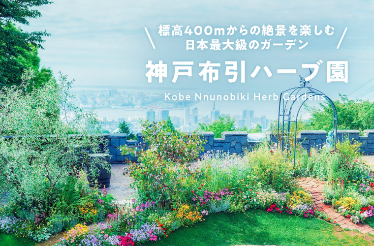 【神戸布引ハーブ園／ロープウェイ】ハーブや花々、標高400mからの絶景を楽しむ日本最大級のガーデン