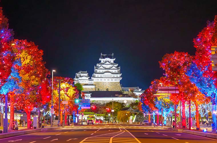 「Himeji大手前通りイルミネーション2025」約25万球の光が照らす冬の姫路を楽しんで