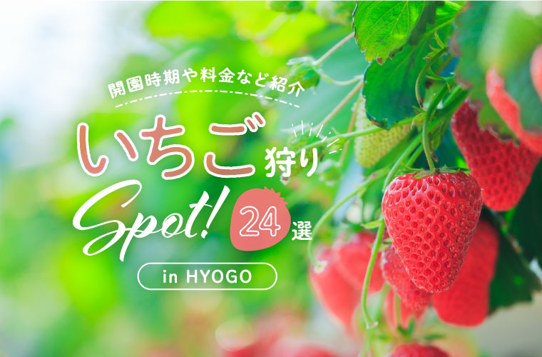 【兵庫県・姫路周辺】人気のいちご狩りおすすめスポット24選！開園時期や料金を紹介♪(2026)