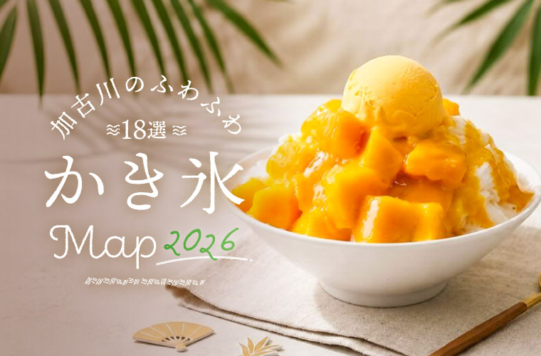 【加古川周辺】夏におすすめのかき氷18選！フルーツが主役の新商品や販売時期を紹介♪(2026)