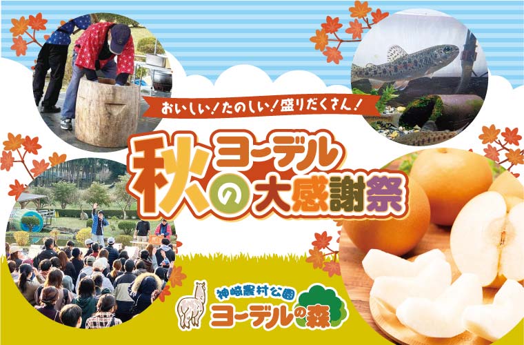 【神河町】「ヨーデルの森 秋の大感謝祭」開催！餅つき＆餅まき、旬の味覚も大集合♪