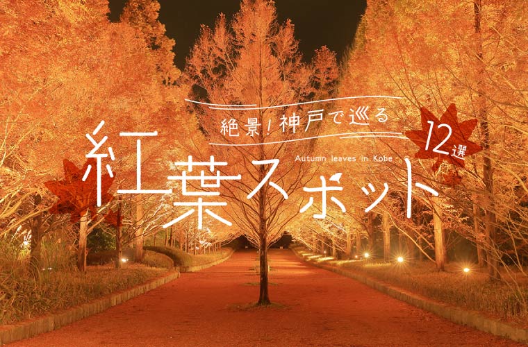 【神戸】紅葉スポットおすすめ12選！見ごろ時期やライトアップ情報、名所から穴場まで紹介(2025)