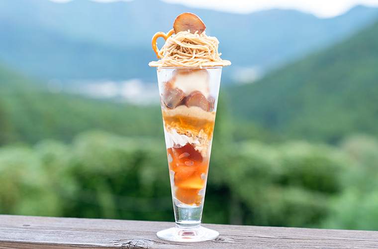 【多可町】「Cafe Season(シーズン)」森に包まれたカフェで味わう丹波栗スイーツ♪