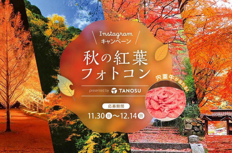 【兵庫県】「TANOSU 秋の紅葉フォトコン」開催！あなたの一枚がタノスに!?最優秀には賞品も