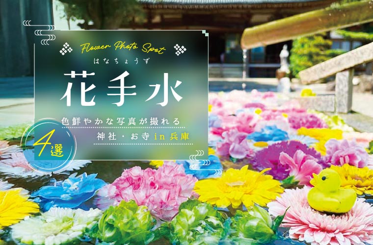 【兵庫県】色鮮やかな花手水スポット4選！SNS映えの写真が撮れる神社・お寺を紹介♪