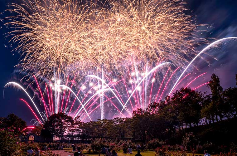 「おかやまフォレストパーク ドイツの森」で「森の音楽祭」開催！3,500発の花火と音楽が共演